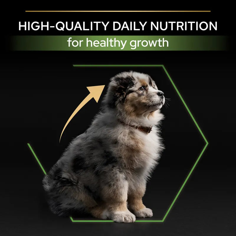Puppy with text about high-quality daily nutrition for healthy growth on a black background