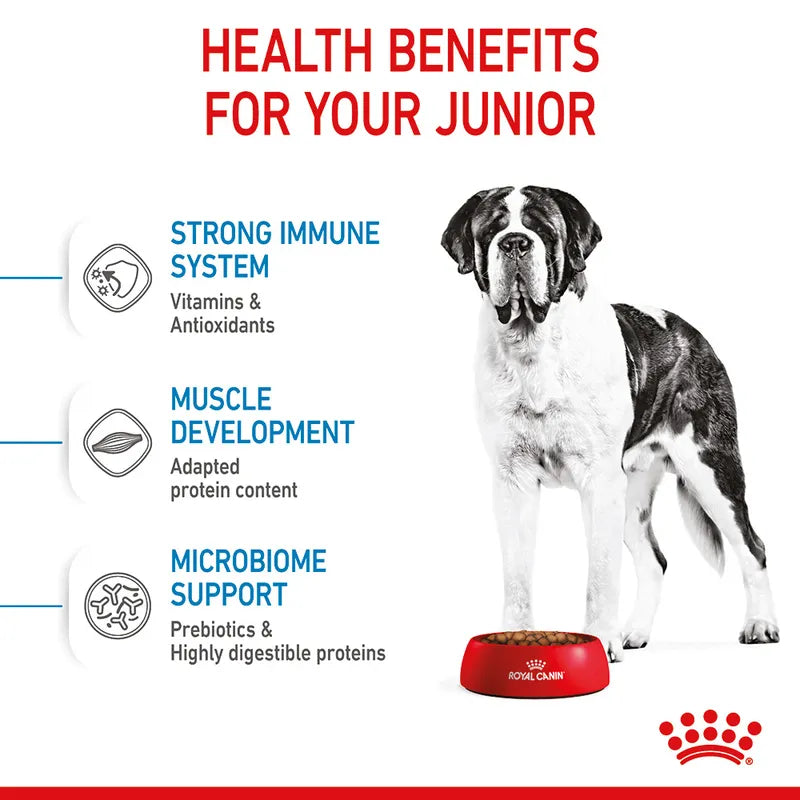 Royal Canin Giant Junior
