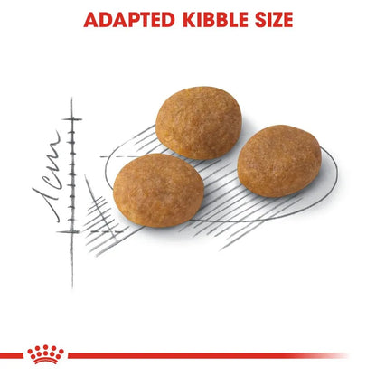 Three brown kibble pieces on a white background with text 'Adapted Kibble Size' and a scale.