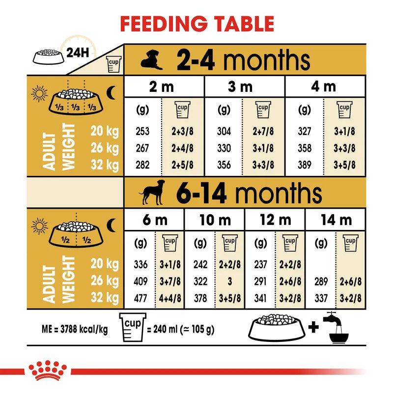 Feeding table chart for puppies with weight and measurement conversions.