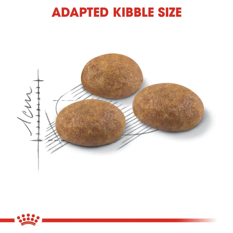 Three dog kibble pieces on a metal surface with 'Adapted Kibble Size' text above and Royal Canin logo below.