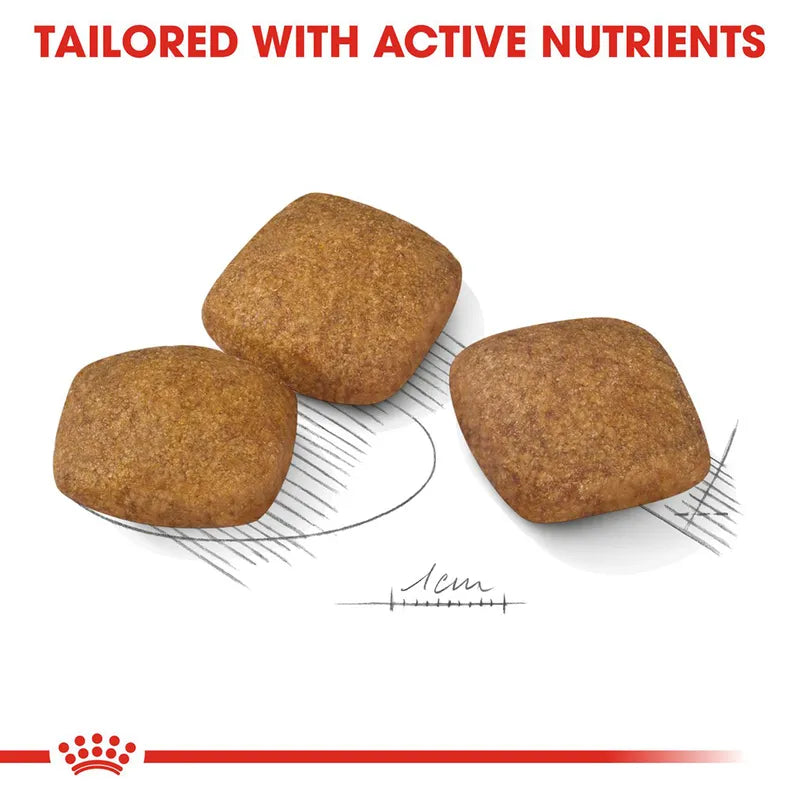 Dog food packets with a comb and measurement scale on a white background, featuring Royal Canin branding.