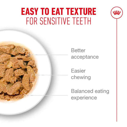 Dog food with text highlighting easy-to-eat texture for sensitive teeth on a white background