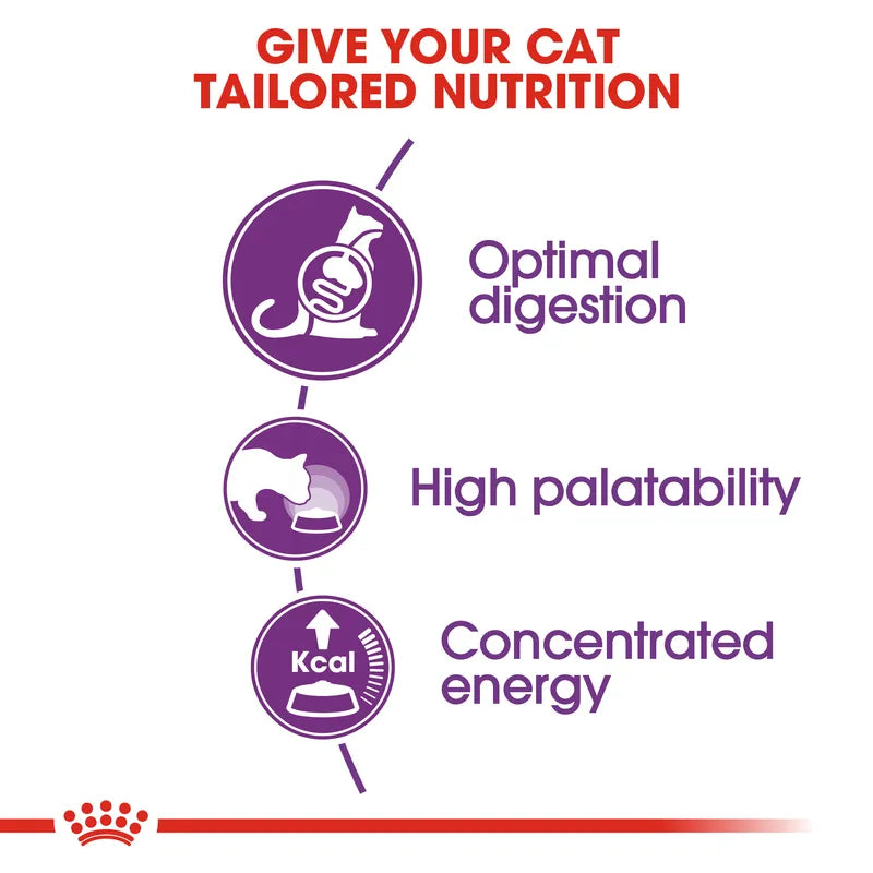 Diagram of cat nutrition benefits with icons and text on a white background