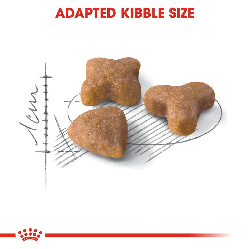 Three dog kibble pieces on a white background with measurement scale and brand logo.
