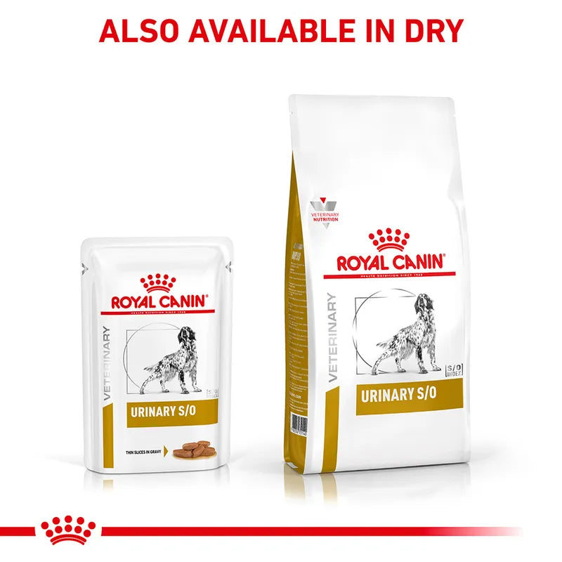 Veterinary wet diet for dogs