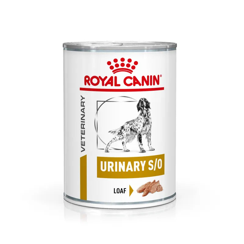 Royal Canin Veterinary Diet Urinary S/O can for dogs on a white background