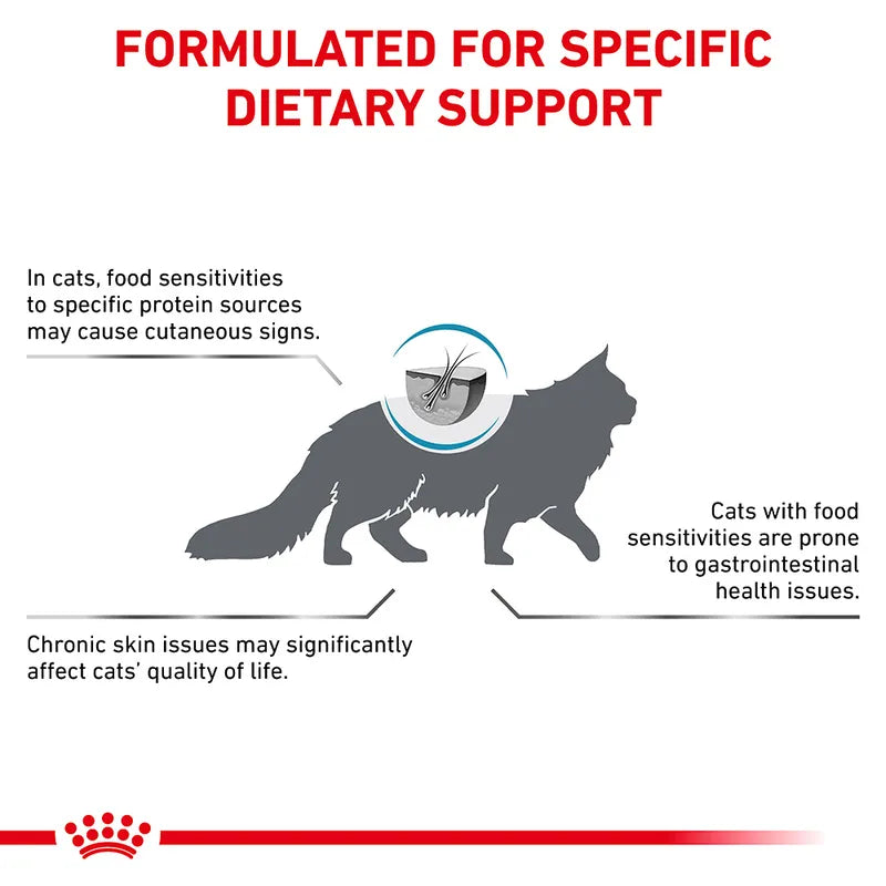 Diagram explaining dietary support for cats with food sensitivities, featuring a cat silhouette and text.