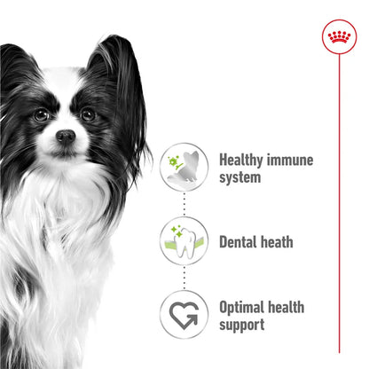 Black and white dog with health benefits listed on a white background