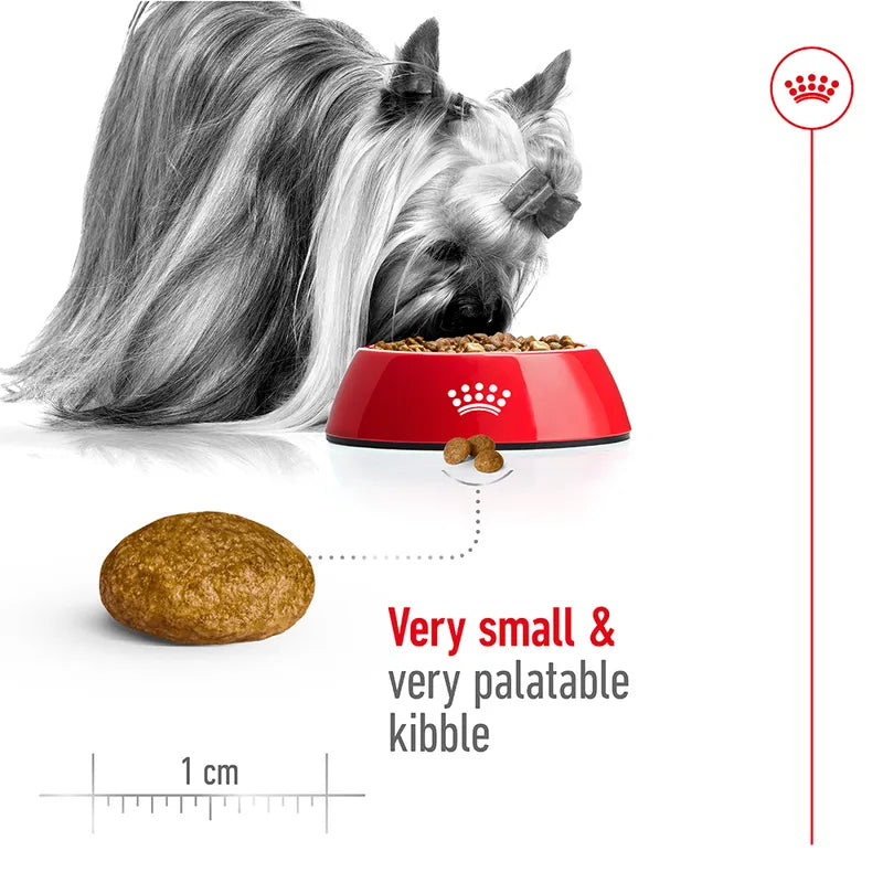 Dog eating from a red bowl with kibble, showing the size of the kibble with a measurement scale.