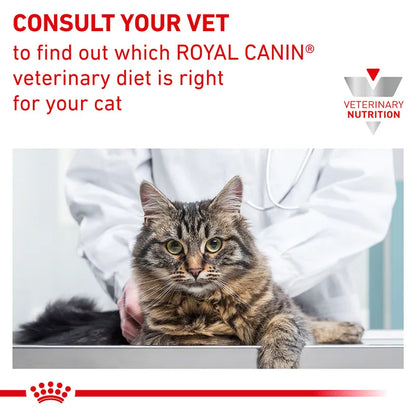 Cat being examined by a vet with Royal Canin Veterinary Diet branding.