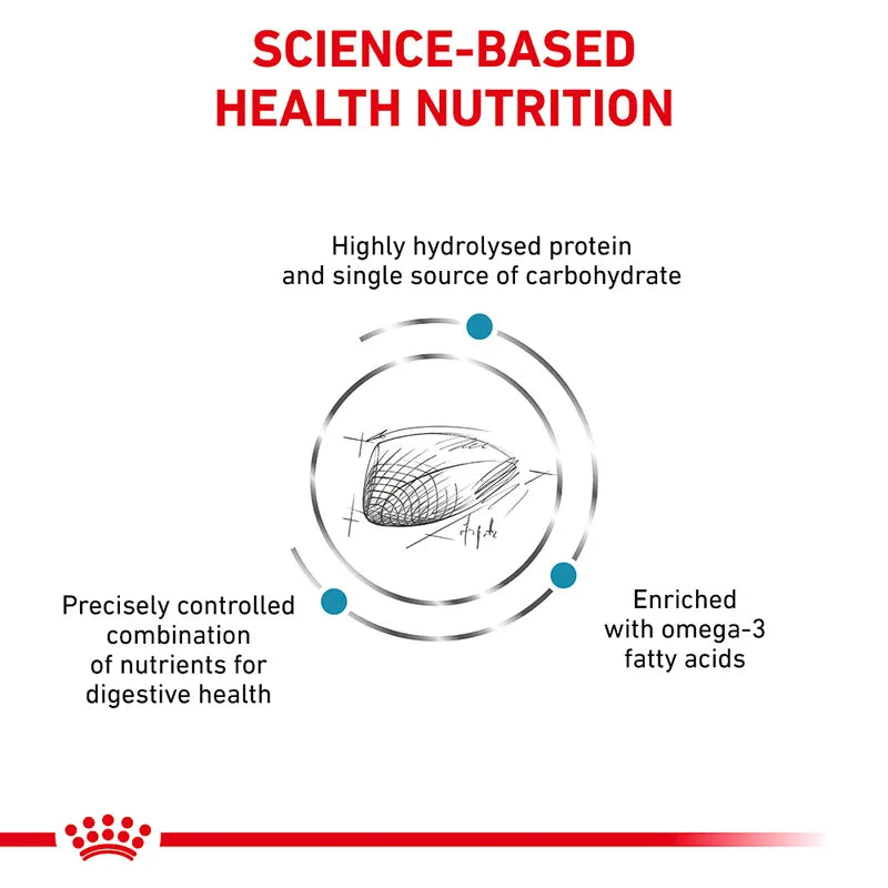 Diagram of science-based health nutrition with protein and carbohydrate sources on a white background.