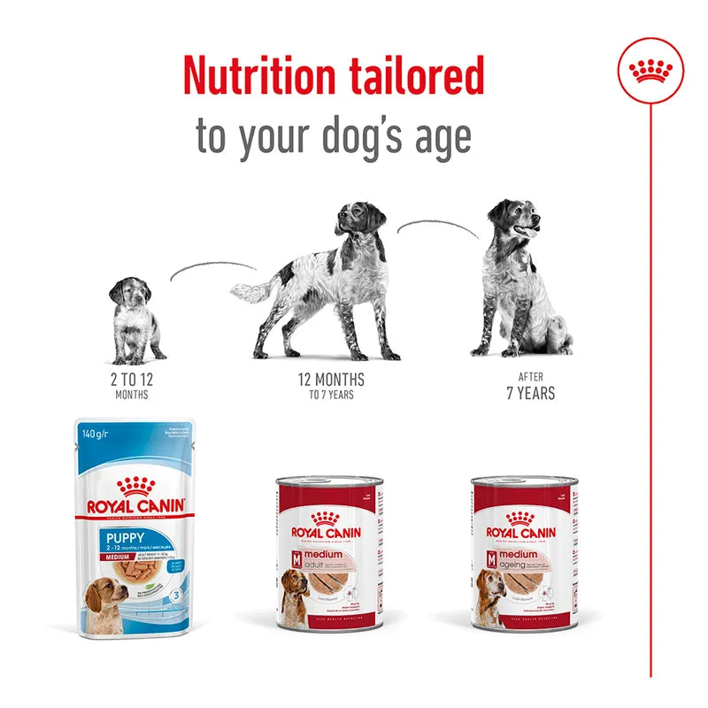 High quality dog food online