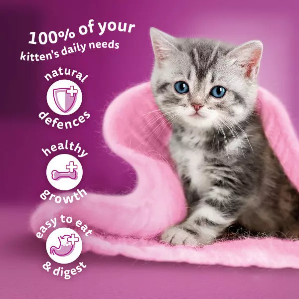 Kitten on a pink blanket with text about a pet product's benefits on a purple background